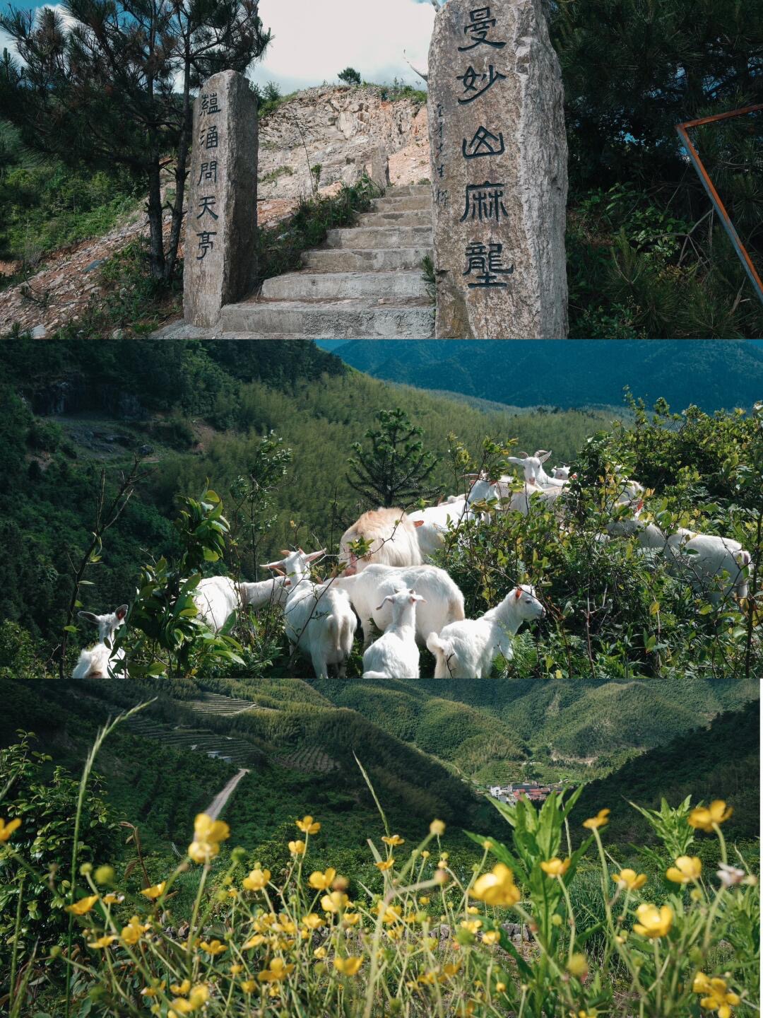龙溪晚霞